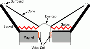 Cross Section of a Dynamic Cone Loudspeaker.